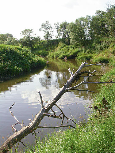 Lama River